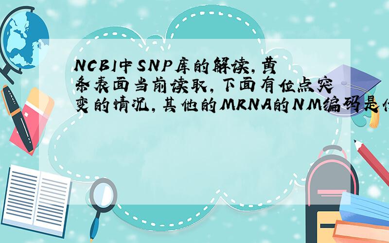 NCBI中SNP库的解读,黄条表面当前读取,下面有位点突变的情况,其他的MRNA的NM编码是什么意思,和第一个什,和第一个什么关系