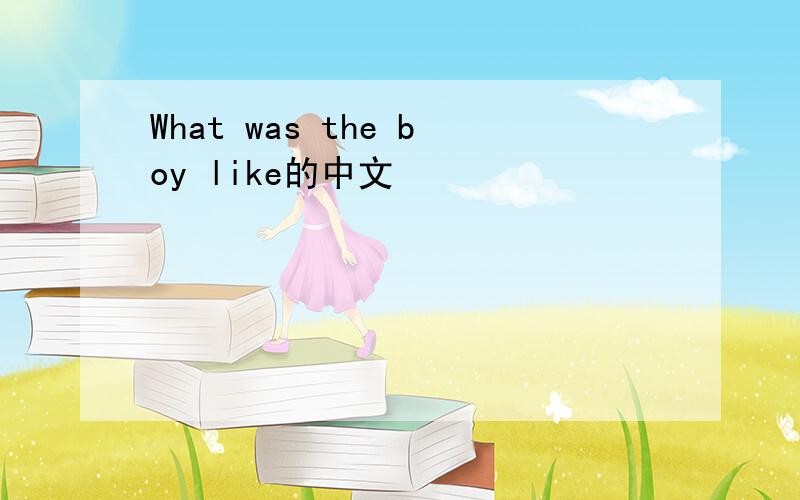 What was the boy like的中文