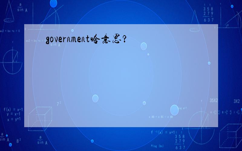 government啥意思?