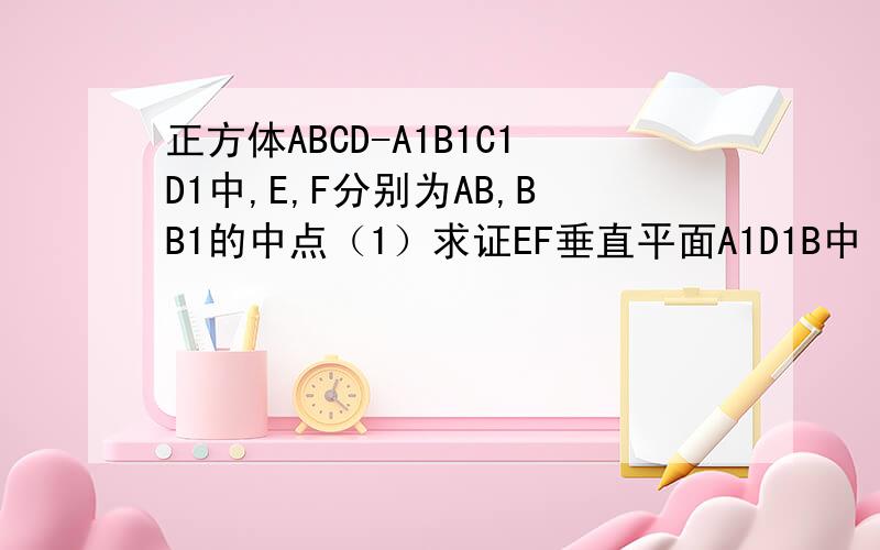 正方体ABCD-A1B1C1D1中,E,F分别为AB,BB1的中点（1）求证EF垂直平面A1D1B中（2）求二面角F-DE-C大小