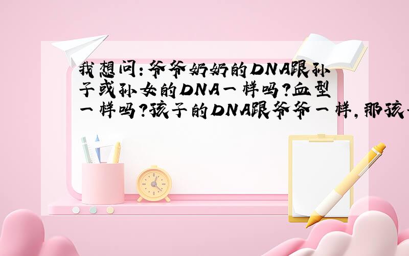 我想问：爷爷奶奶的DNA跟孙子或孙女的DNA一样吗?血型一样吗?孩子的DNA跟爷爷一样,那孩子的DNA跟爸爸也一样吗?