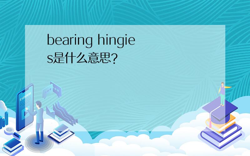 bearing hingies是什么意思?