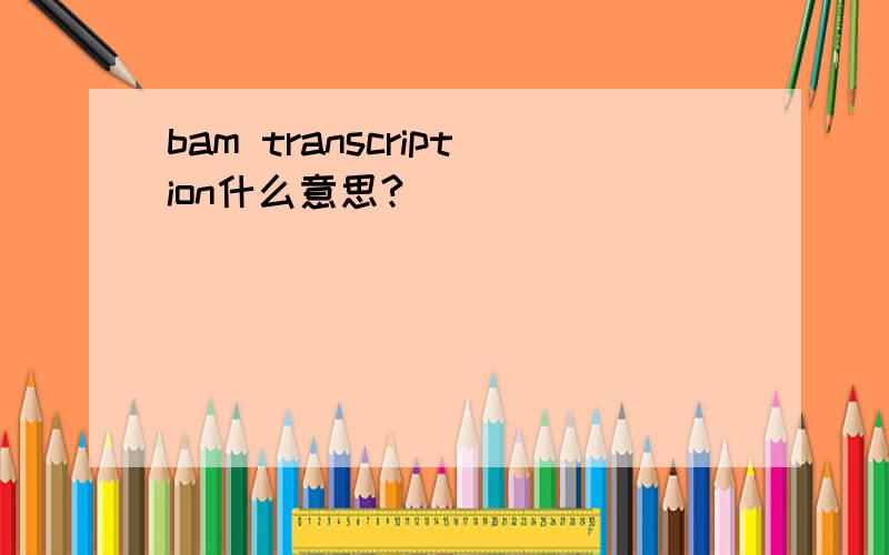 bam transcription什么意思?