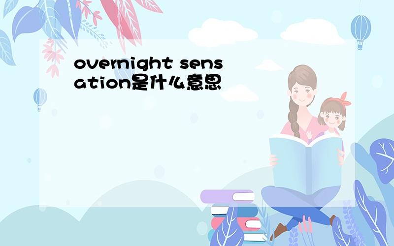 overnight sensation是什么意思