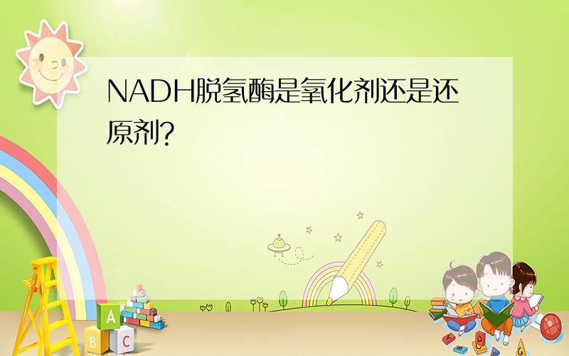 NADH脱氢酶是氧化剂还是还原剂?