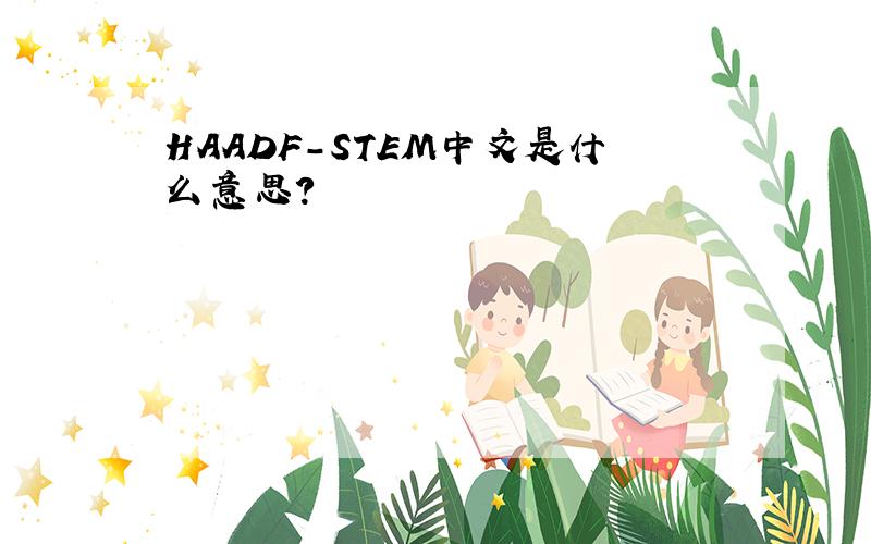 HAADF-STEM中文是什么意思?