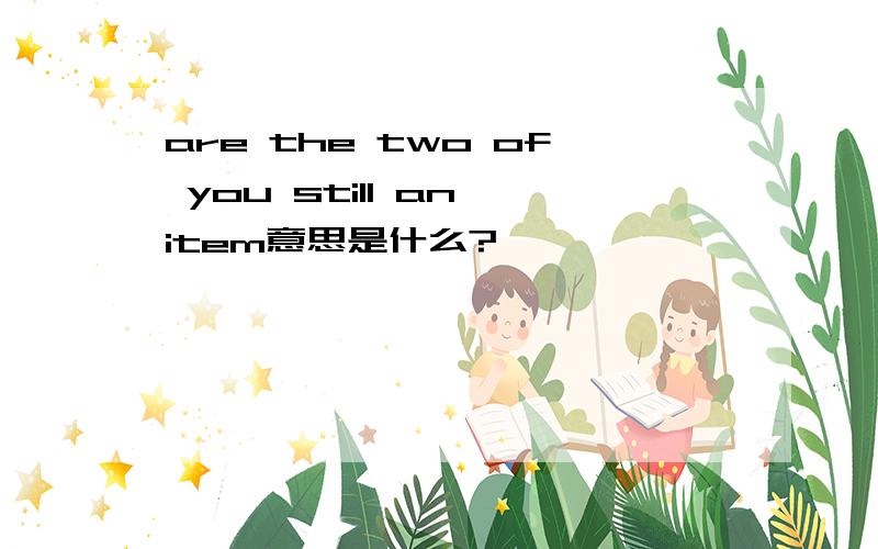 are the two of you still an item意思是什么?