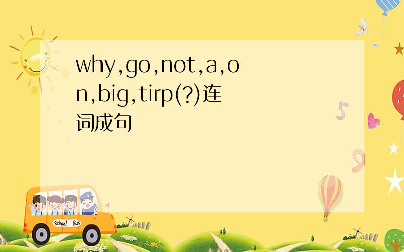 why,go,not,a,on,big,tirp(?)连词成句