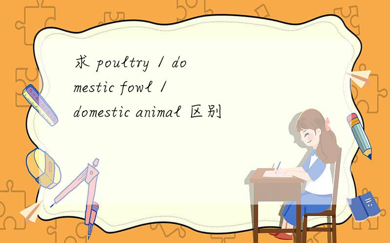 求 poultry / domestic fowl / domestic animal 区别