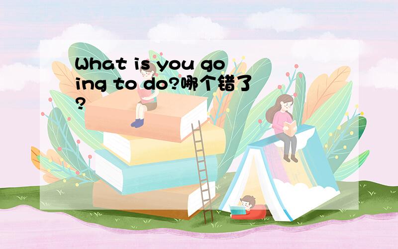 What is you going to do?哪个错了?