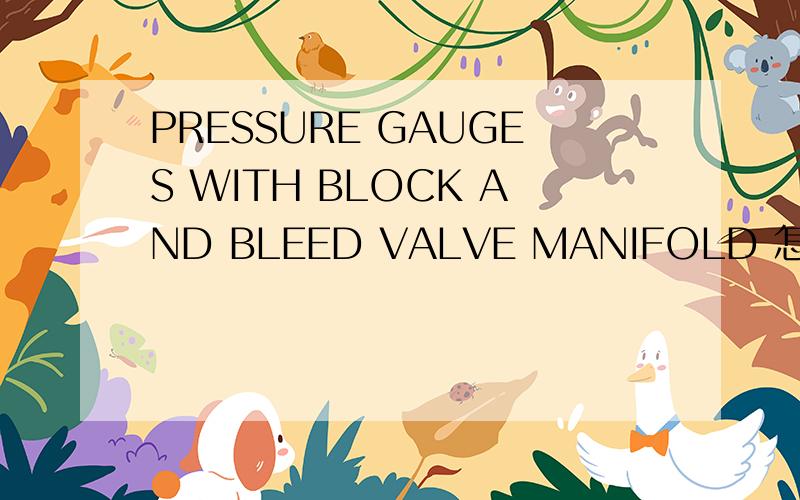 PRESSURE GAUGES WITH BLOCK AND BLEED VALVE MANIFOLD 怎么翻译?