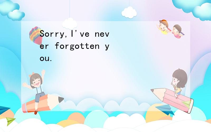 Sorry,I've never forgotten you.