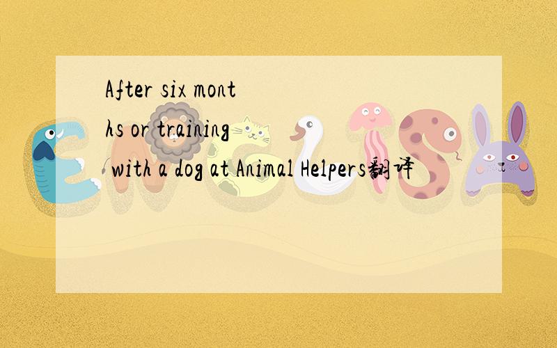 After six months or training with a dog at Animal Helpers翻译
