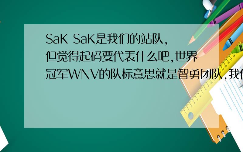 SaK SaK是我们的站队,但觉得起码要代表什么吧,世界冠军WNV的队标意思就是智勇团队,我们也想个.我本来想的是 Strive and K 什么什么的,就是努力和（想不出什么好）.你们也帮忙想想吧,SaK .中间