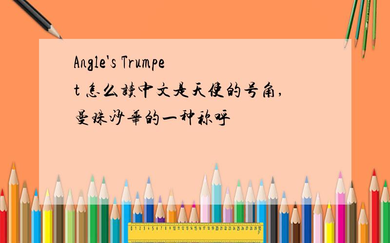 Angle's Trumpet 怎么读中文是天使的号角,曼珠沙华的一种称呼