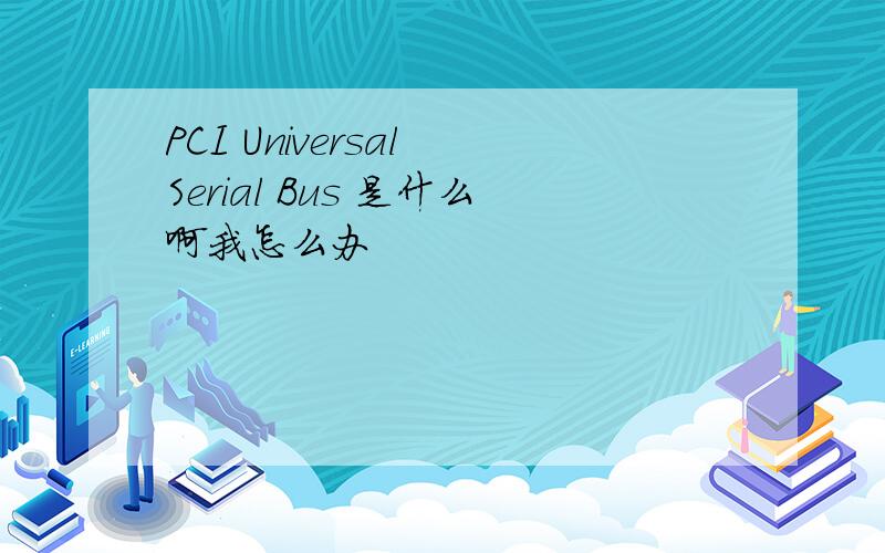 PCI Universal Serial Bus 是什么啊我怎么办
