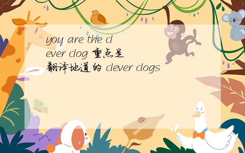 you are the clever clog 重点是 翻译地道的 clever clogs