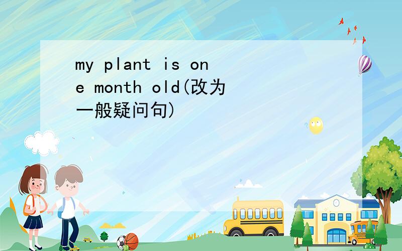 my plant is one month old(改为一般疑问句)