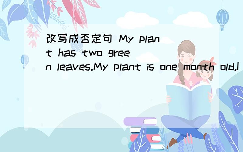 改写成否定句 My plant has two green leaves.My plant is one month old.I can hardly wait.
