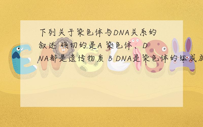 下列关于染色体与DNA关系的叙述 确切的是A 染色体、DNA都是遗传物质 B DNA是染色体的组成成分之一 染色体是DNA的主要载体 C 染色体上具有的DNA数量不同 D DNA在细胞中全部在于染色体上