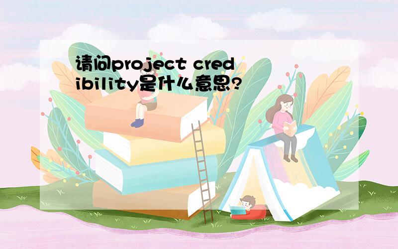 请问project credibility是什么意思?