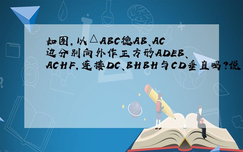 如图,以△ABC德AB、AC边分别向外作正方形ADEB、ACHF,连接DC、BHBH与CD垂直吗?说明理由.