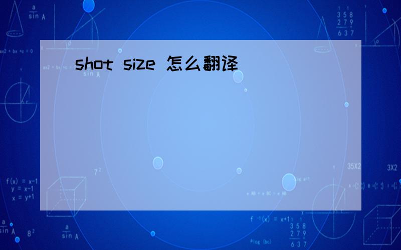 shot size 怎么翻译