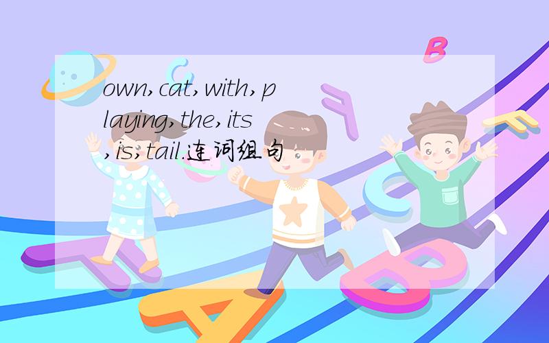 own,cat,with,playing,the,its,is,tail.连词组句