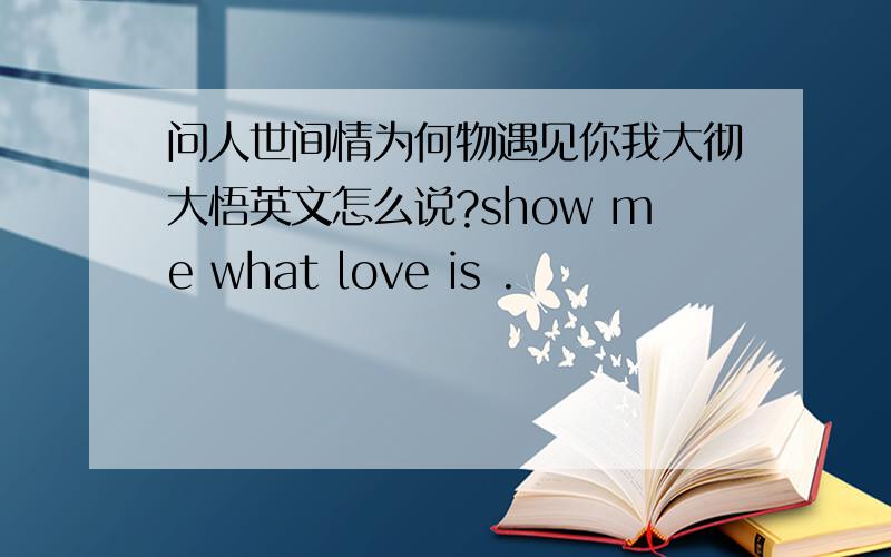问人世间情为何物遇见你我大彻大悟英文怎么说?show me what love is .