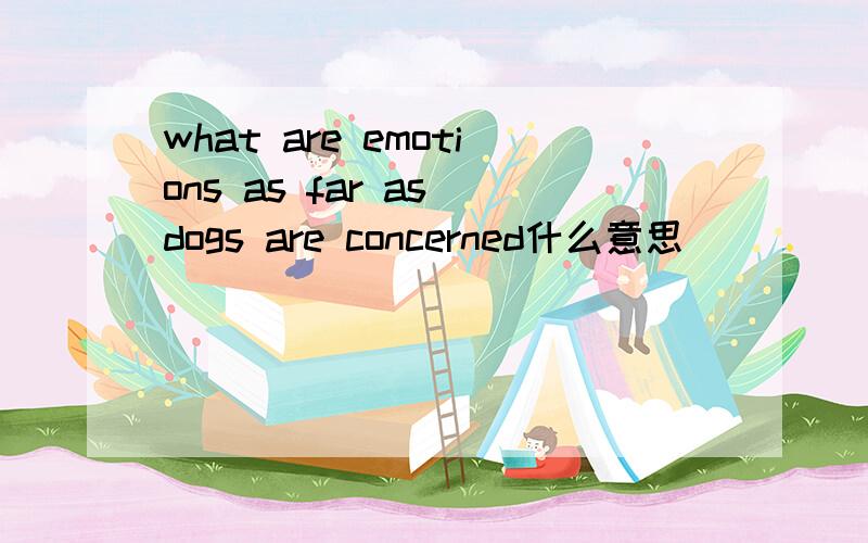 what are emotions as far as dogs are concerned什么意思