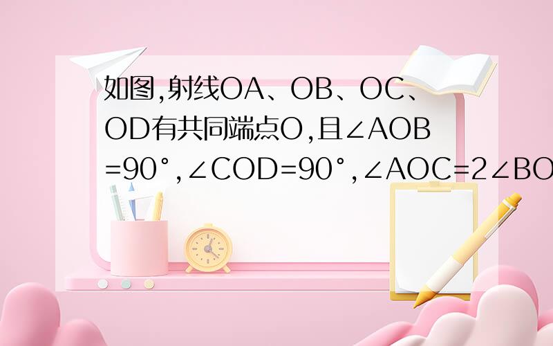 如图,射线OA、OB、OC、OD有共同端点O,且∠AOB=90°,∠COD=90°,∠AOC=2∠BOD,求∠BOC的度数.