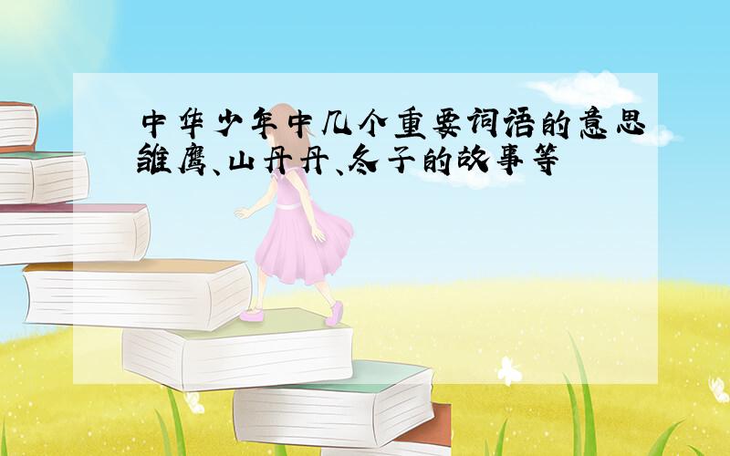 中华少年中几个重要词语的意思雏鹰、山丹丹、冬子的故事等
