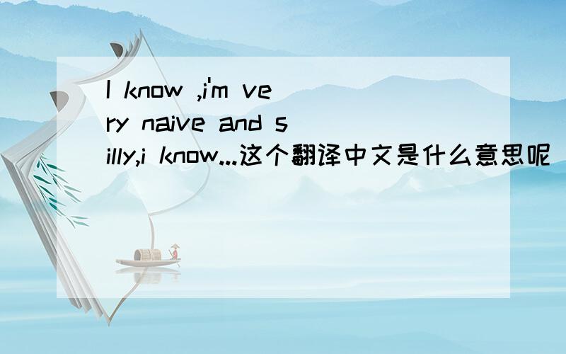 I know ,i'm very naive and silly,i know...这个翻译中文是什么意思呢