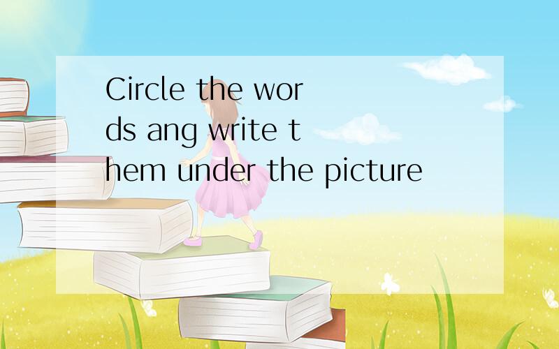 Circle the words ang write them under the picture