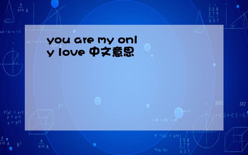 you are my only love 中文意思