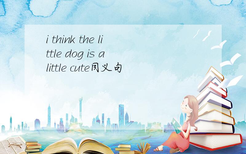 i think the little dog is a little cute同义句