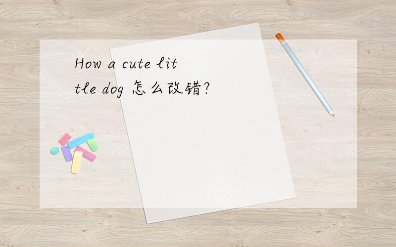 How a cute little dog 怎么改错?