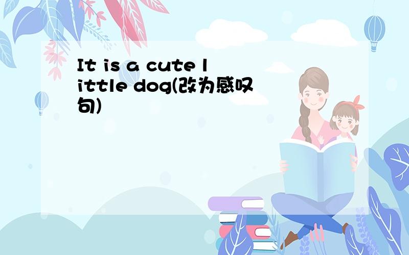 It is a cute little dog(改为感叹句)
