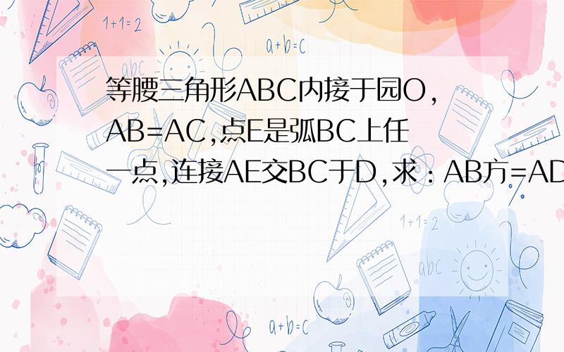 等腰三角形ABC内接于园O,AB=AC,点E是弧BC上任一点,连接AE交BC于D,求：AB方=AD*AE急