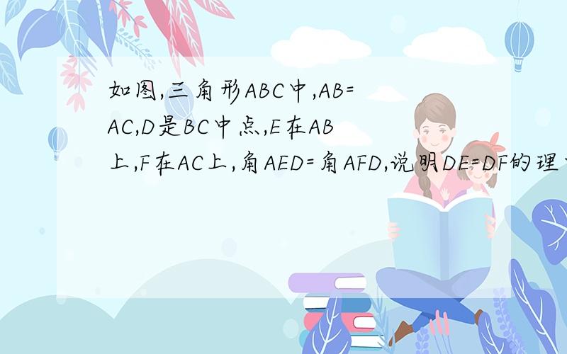 如图,三角形ABC中,AB=AC,D是BC中点,E在AB上,F在AC上,角AED=角AFD,说明DE=DF的理由要过程,多谢啊