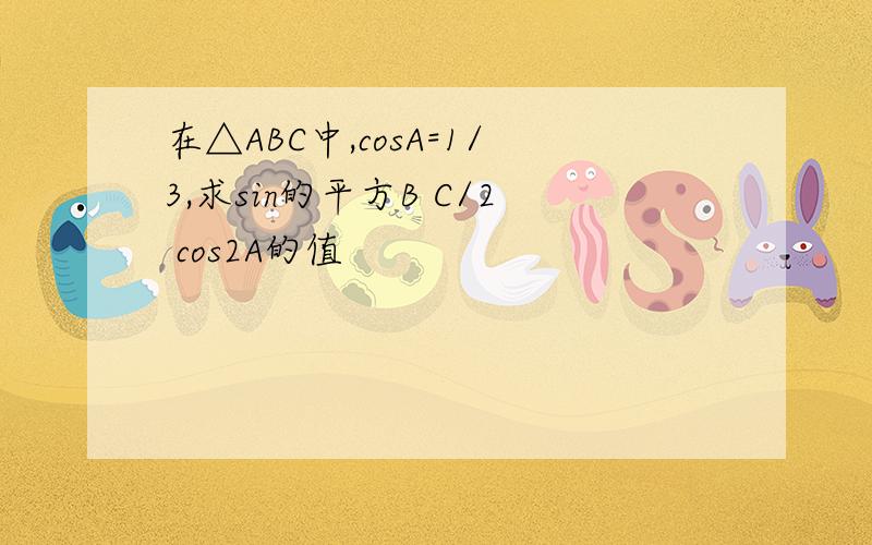 在△ABC中,cosA=1/3,求sin的平方B C/2 cos2A的值