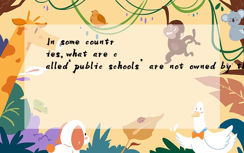 In some countries,what are called‘public schools' are not owned by the