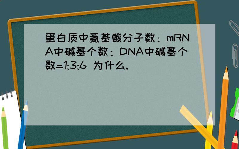 蛋白质中氨基酸分子数：mRNA中碱基个数：DNA中碱基个数=1:3:6 为什么.