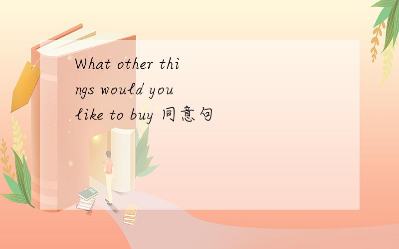 What other things would you like to buy 同意句