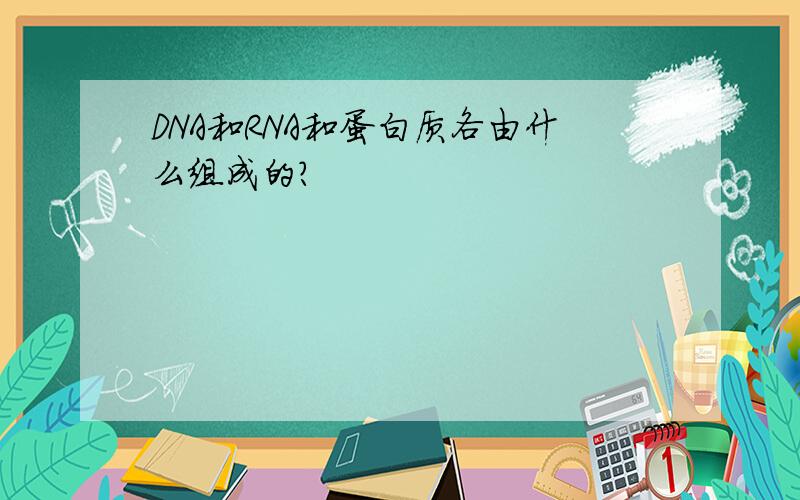 DNA和RNA和蛋白质各由什么组成的?