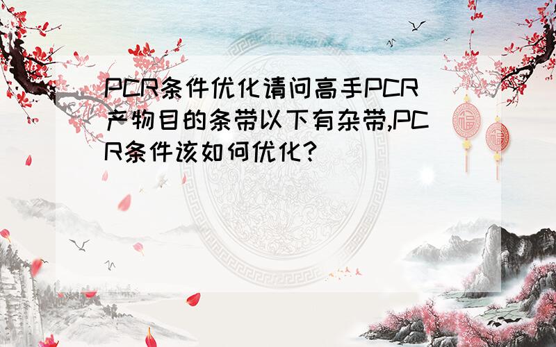 PCR条件优化请问高手PCR产物目的条带以下有杂带,PCR条件该如何优化?