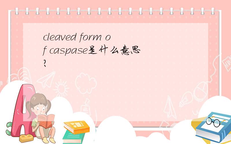cleaved form of caspase是什么意思?