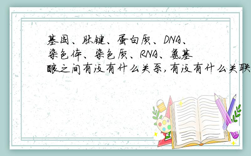 基因、肽键、蛋白质、DNA、染色体、染色质、RNA、氨基酸之间有没有什么关系,有没有什么关联