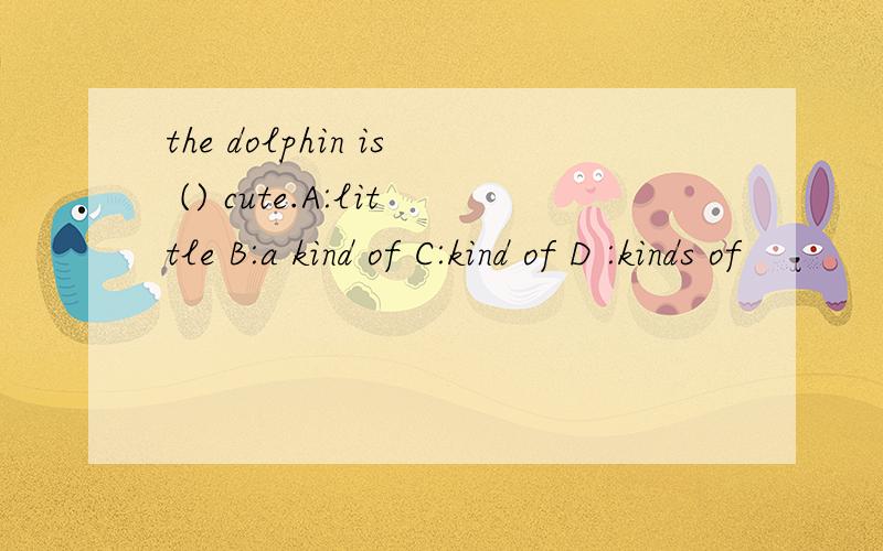 the dolphin is () cute.A:little B:a kind of C:kind of D :kinds of