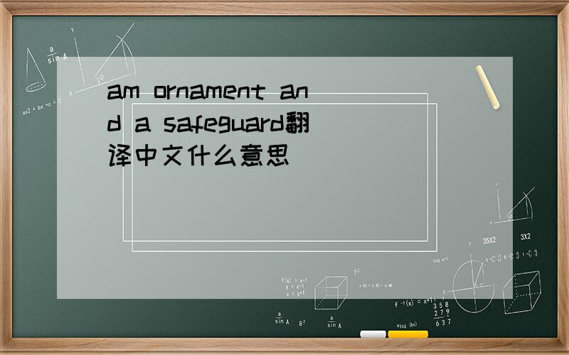 am ornament and a safeguard翻译中文什么意思